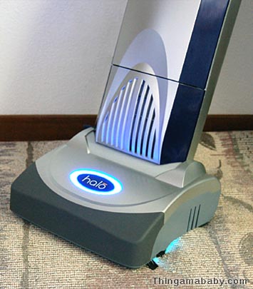 How do you kill all the germs in your vaccum cleaner bag?…?